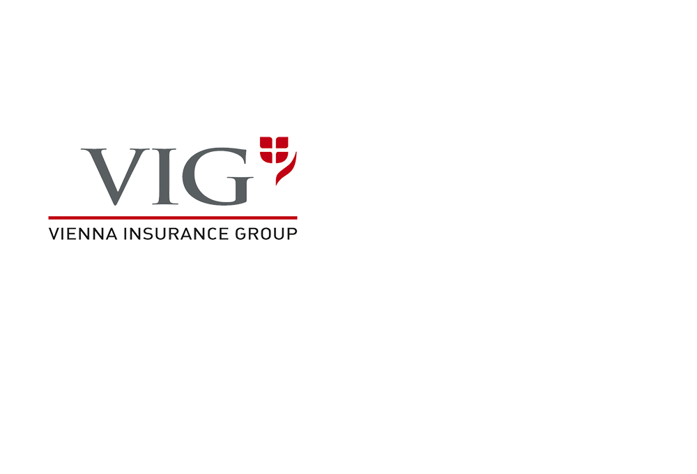 bg-vig-logo